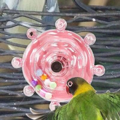 Parrot Rattle Wheel Toy Rotating Swivel Interactive Parrot