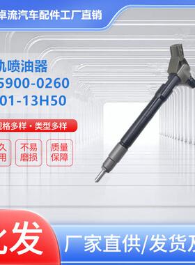 高压共轨喷油器压电喷油嘴SH01-13H50 SH0113H50 295900-0260总成