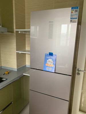 这款海尔 BCD-225WDCJ(DZ)冰箱怎么样，缺点有哪些？