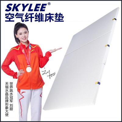 4D宿舍易收纳三折床垫可折叠榻榻米客厅便捷客人地铺睡垫日式poe