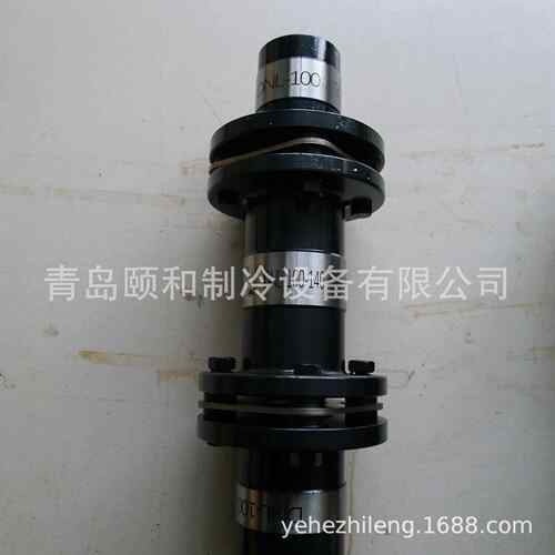 大连1箭N升系列挠叠膜片联轴器DL00,DPJ202109NL1式20
