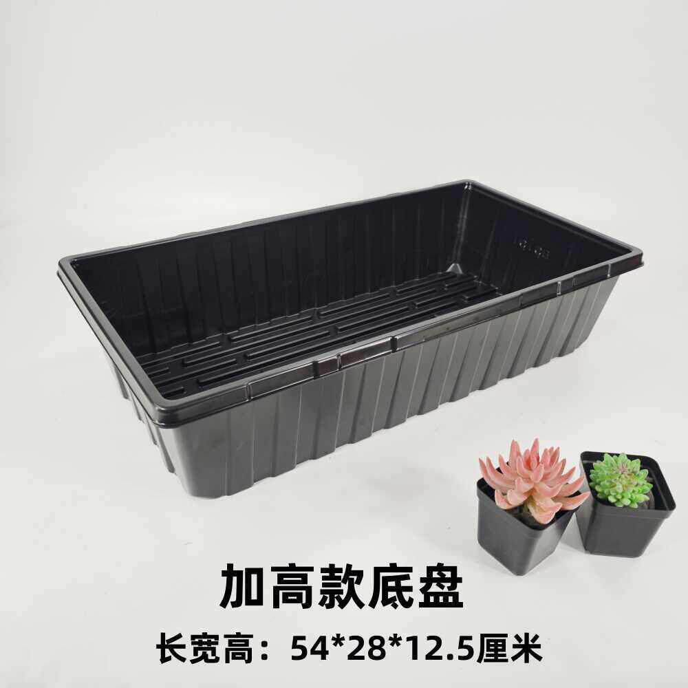 育苗盘育苗盒多肉叶插豆芽菜穴盘托盘芽苗菜育苗盘种植播种盘加高