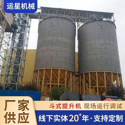 厂家供应链条斗式垂直提升机煤场矿山斗式提升机