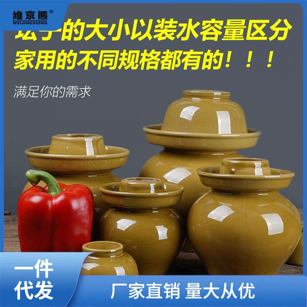 四川泡菜坛子小迷你小号陶瓷土陶斤斤家用腌菜的小缸罐霉姜茶