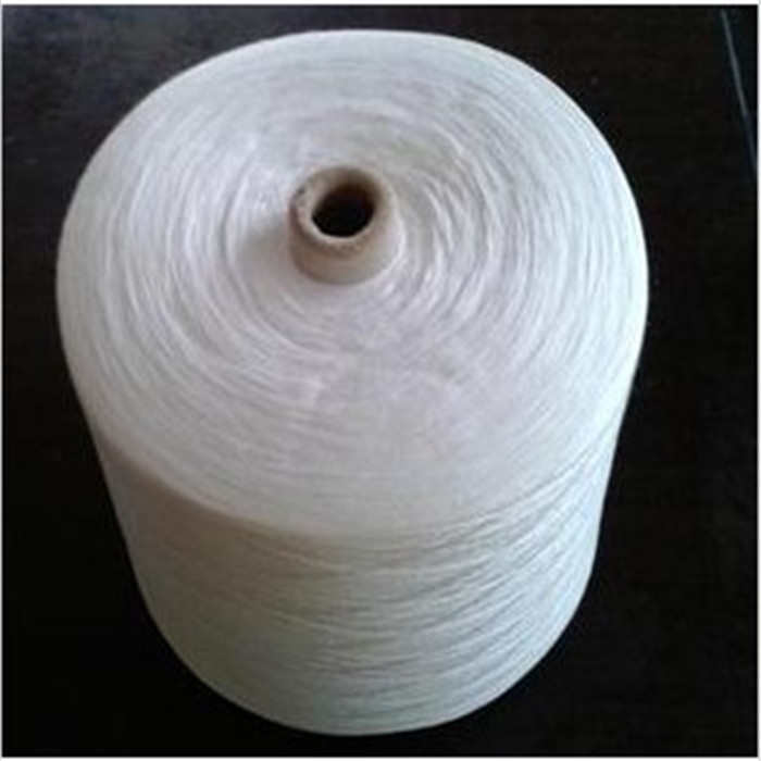 1kg高强度聚酯纤维线202 302 402 502缝纫线装订线灌肠线大筒宝塔