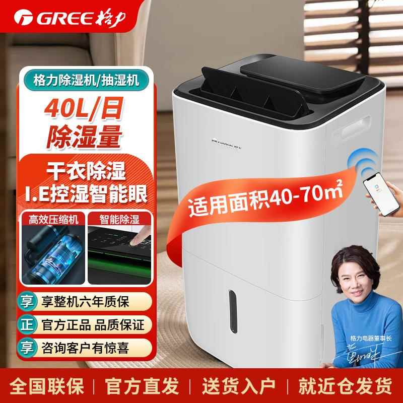 DH40EP除湿机家用抽湿机低噪40升/天60~72㎡地下室卧室节能除湿机