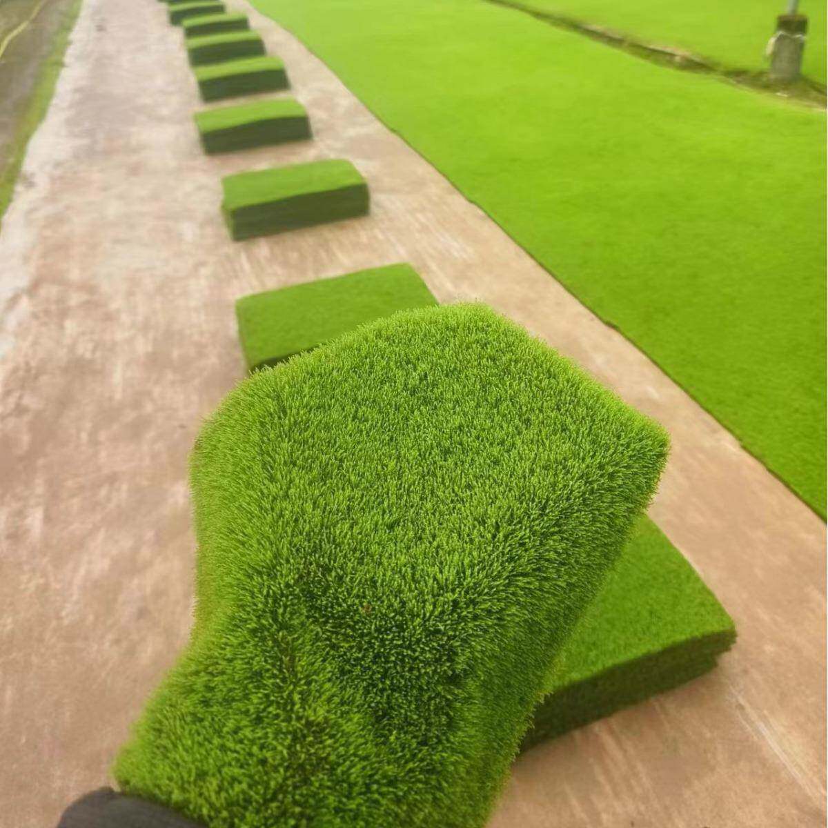 鲜人工短绒藓植物铺室面人工短绒内微景雨观真苔藓生态瓶水陆林缸