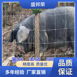 盛邦荣养殖隔离牛羊猪家用不锈栅栏圈马围栏网热镀锌防护户外大孔