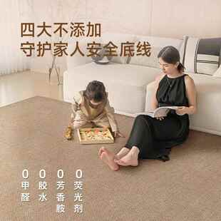 地kcx16425毯客厅可拆洗毯双层家用简约色沙发茶几大纯面积全铺易