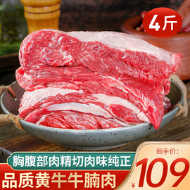 牛肉新鲜牛腩肉鲜切2000g整块牛腩生鲜牛排，黄牛肋条冷冻商用食材