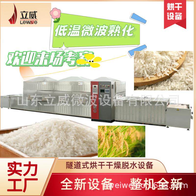 隧道式五谷杂粮烘烤熟化一体设备红豆黑豆低温微波熟化