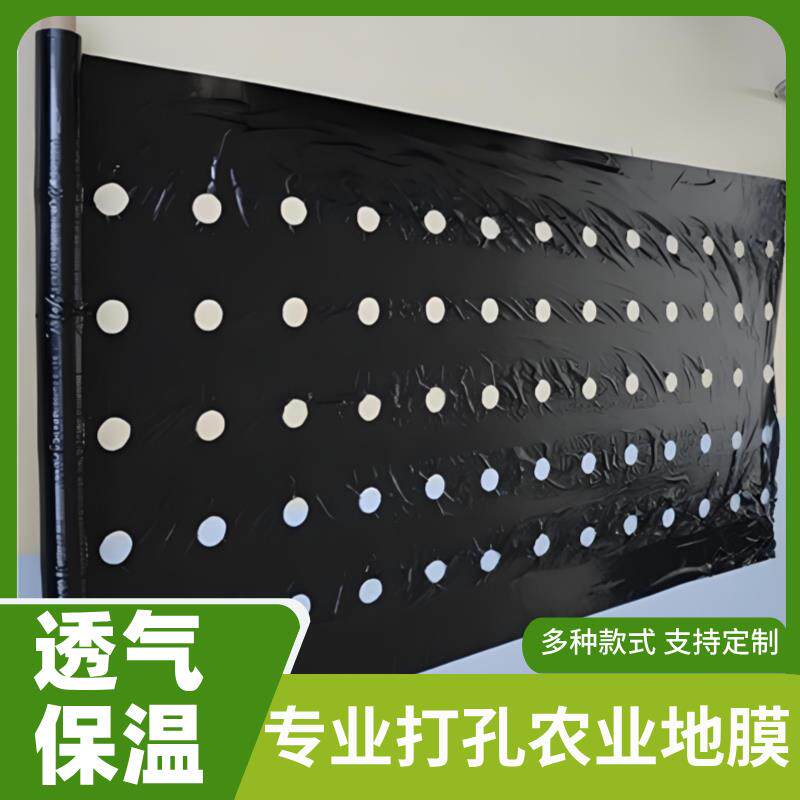 农用加厚打孔银黑地膜辣椒番茄大蒜保湿羊肚菌专用除草钻孔黑地膜