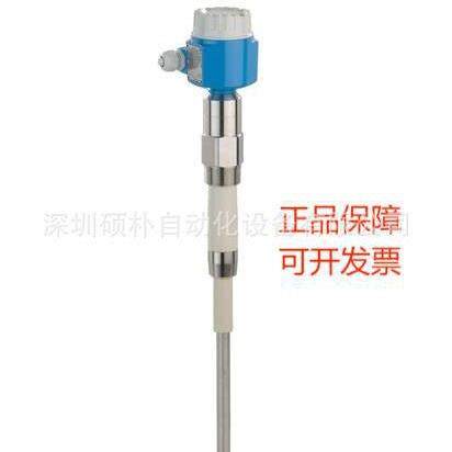 德国E+H 电容限位检测 FTI55-AAA1RG143A1A