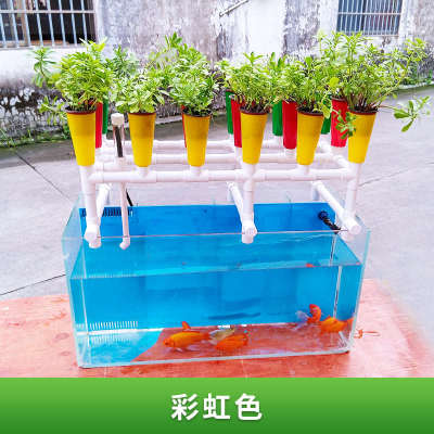 阳台玻璃鱼缸种植架鱼菜共生系统鱼花共生系统水培潮汐种植系统