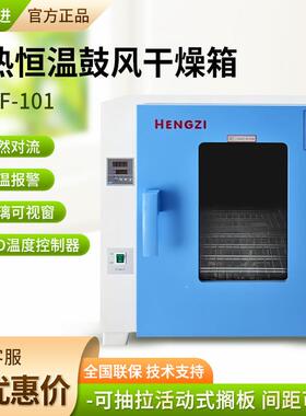 上海跃进HGZF/HGZF-II系列台式鼓风干燥箱电热恒温鼓风干燥箱