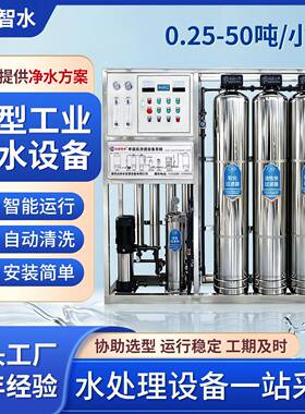 大型工业反渗透净化水设备商用全自动双级井水去泥沙离子纯水机