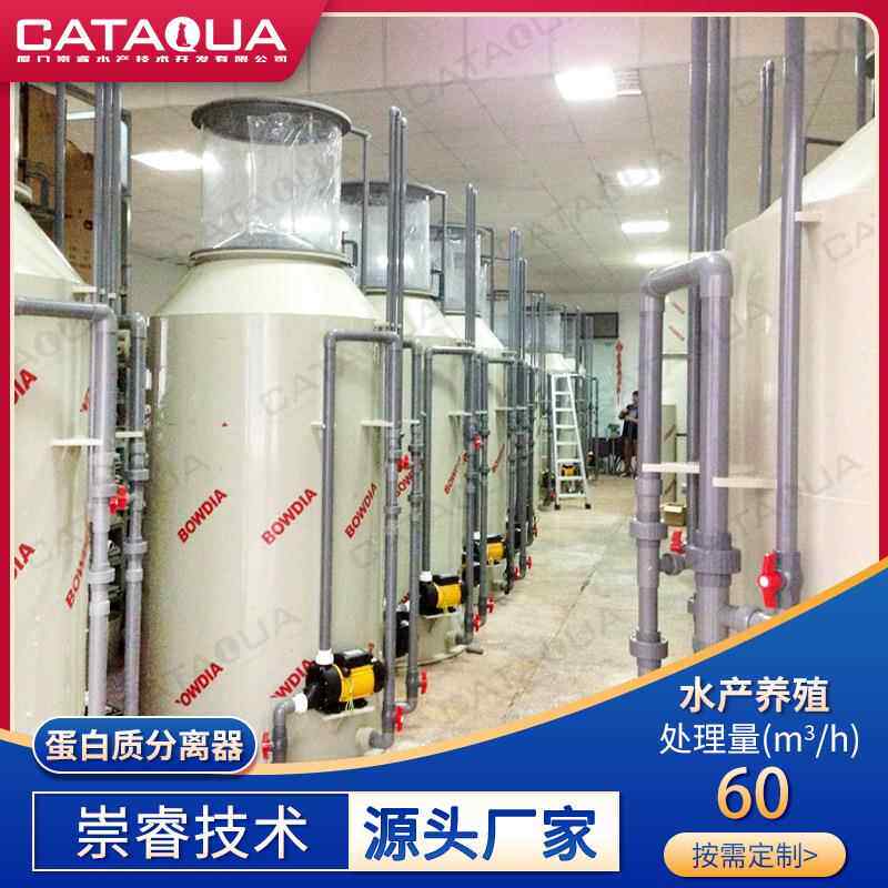 蛋白质分离器 工厂化水产养殖养鱼养虾专用高效稳定除沫器蛋分