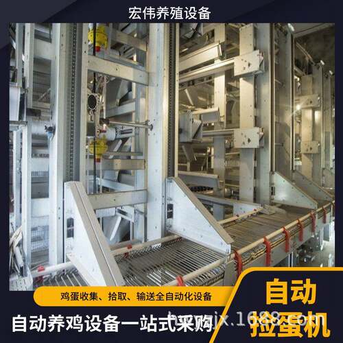 自动拣蛋设备大型养殖场用收蛋机现代化养殖常用收蛋设备