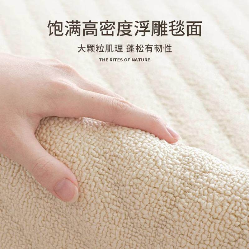 硅藻丝地毯客厅防水防污新款轻奢大面积全铺卧室可擦免打理地垫