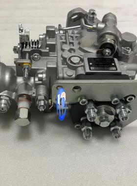 供应VE泵系列发动机喷油器燃油泵2852046/0460424282/504063450