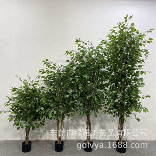 人造真树杆小榕树仿真白边榕树假绿植盆栽过胶迷你榕客厅造景装饰