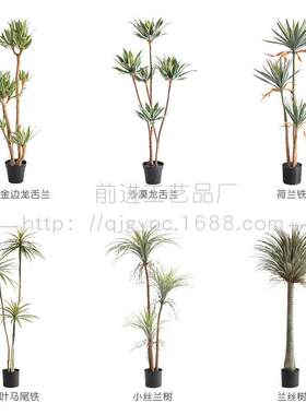 沙生植物仿真芦荟龙舌兰造景装饰摆件假树荷兰铁马尾铁店铺软装