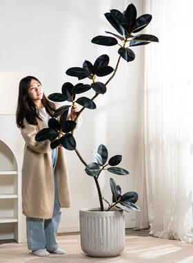 黑金刚橡皮树彷真绿色植物物网红盆栽客厅大型彷生落地假树装饰品