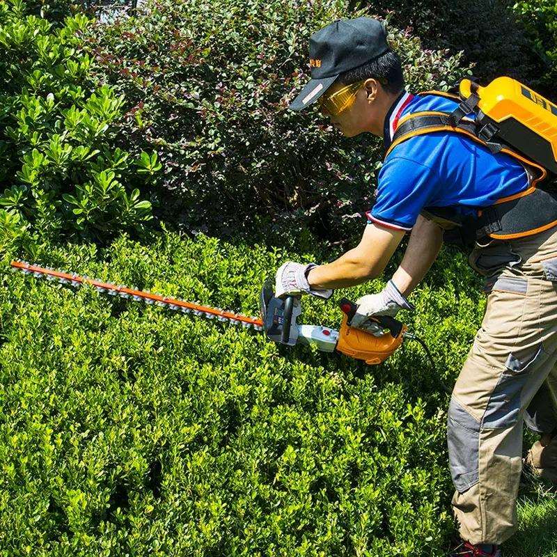 传峰充电式修枝机 绿篱机采茶机 电动茶树修剪机园艺剪剪枝