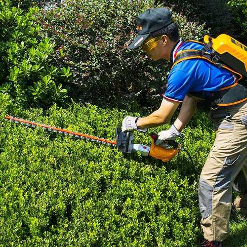 传峰充电式修枝机 绿篱机采茶机 电动茶树修剪机园艺剪剪枝