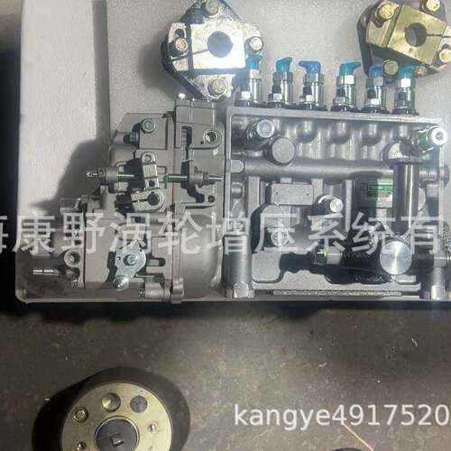 适用现代的喷油泵106673-417C和106673-2141106061-5480