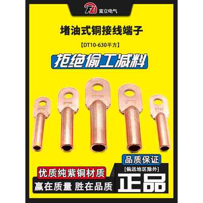 国家标准Dt-16-35-70-95-185-240油堵铜头铜端子排电缆连接器线耳