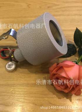 SW10-25A防爆光控感应开