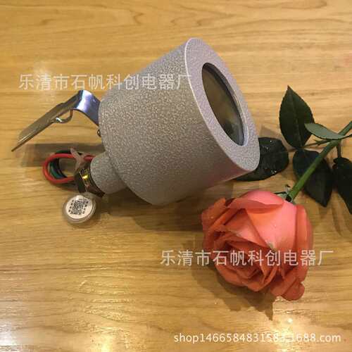SW10-25A防爆光控感应开