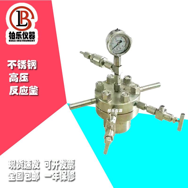简易高压搅拌微型高压反应釜25ml50ml500ml惰性气体压力化学