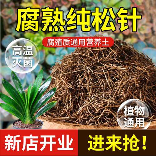 松针腐殖土腐叶腐熟纯君子兰花泥炭营养土养花通用专用土绿植有机