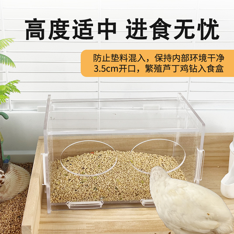 饮水器鹌鹑雏鸡食盒芦丁喂食器