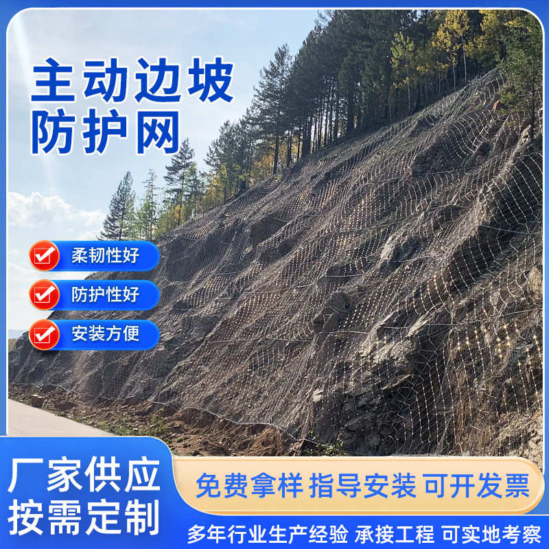 厂家定制边坡防护网边坡环形被动防护网柔性拦石护坡钢丝绳防护网