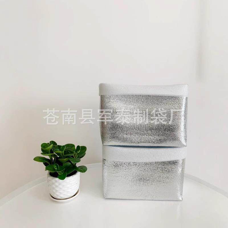 邮政箱内袋立体铝箔保温袋牛排海鲜冷藏袋食品袋便携冷藏袋冰袋