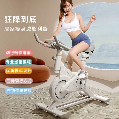 健身车小型室减运动器材静音脚自踏行车肥动感款JSC-XQB-家内用健