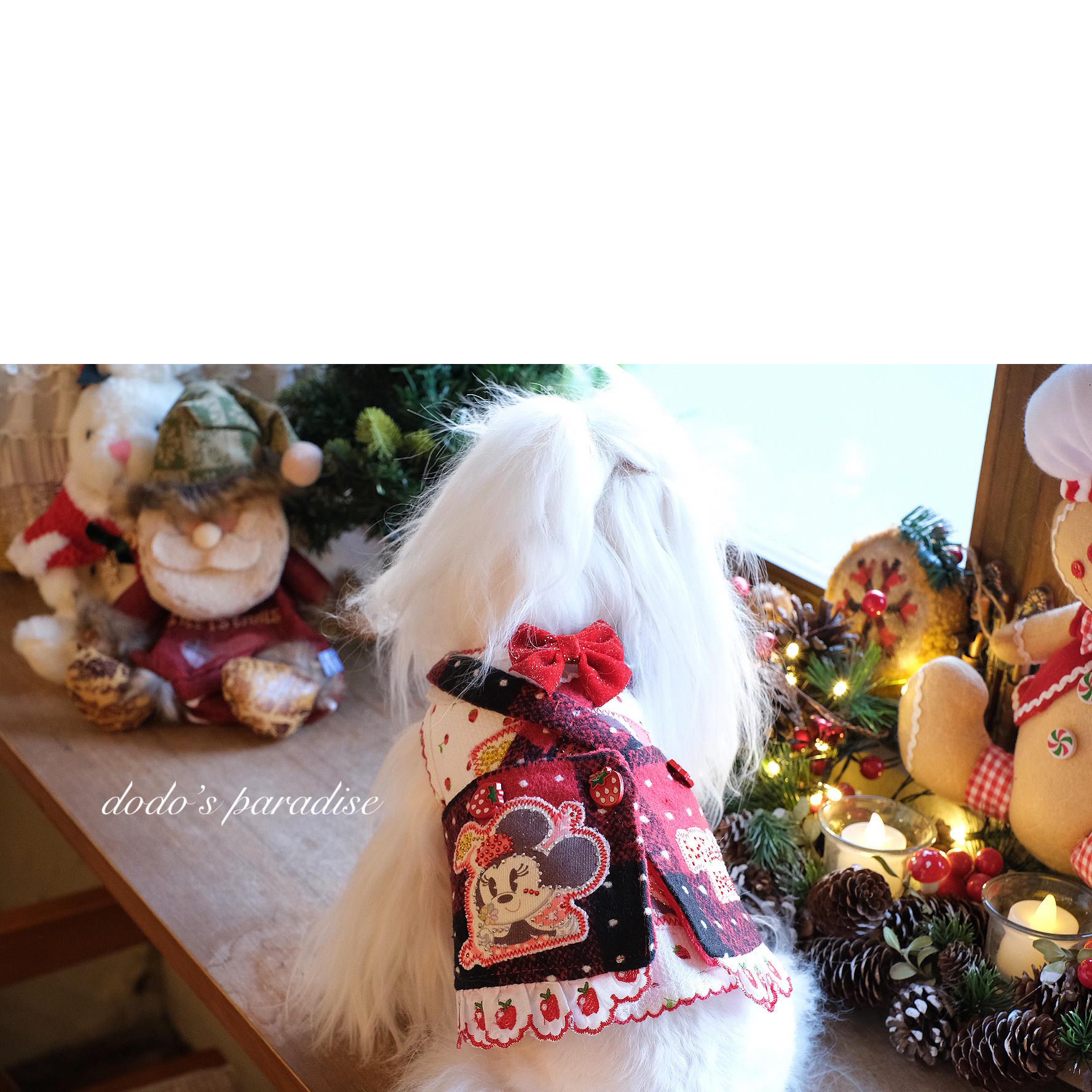 秋冬新款圣诞新年过年装宠物猫狗衣服小型犬闪钻毛呢背带裙围裙