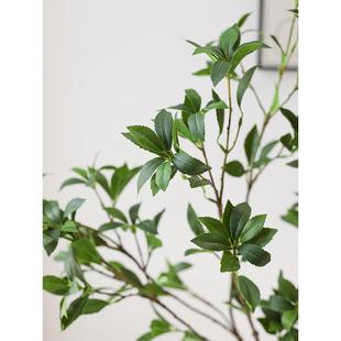 饰摆设氛围树室内植物造景 轻奢仿真马醉木仿真绿植假花大型落地装