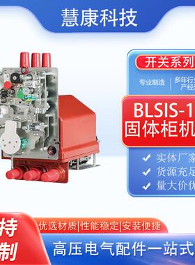 HKSIS-12 固体柜机芯 Solid insulation switch circuit breaker