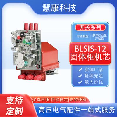 HKSIS-12 固体柜机芯 Solid insulation switch circuit breaker