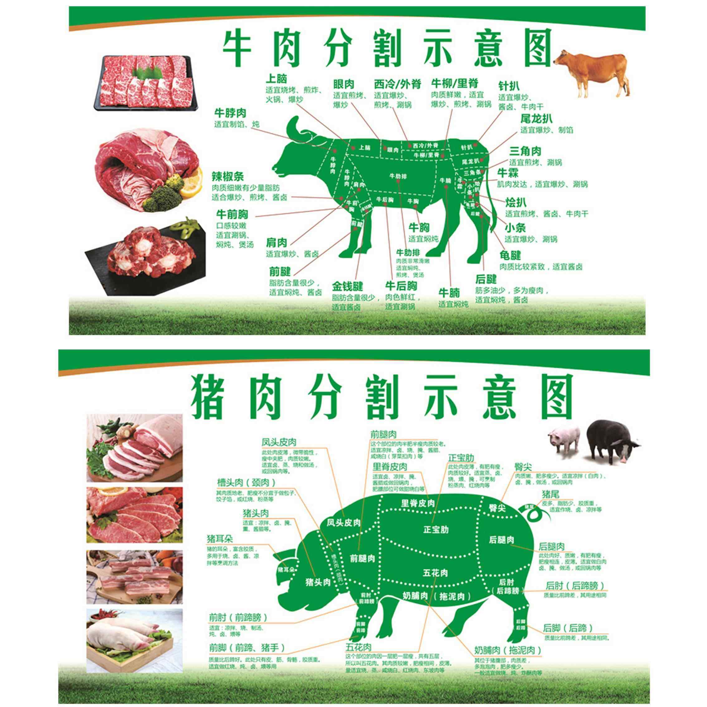羊肉分解图装饰写真超市牛肉猪肉分割图海报介绍户外背胶贴纸广告