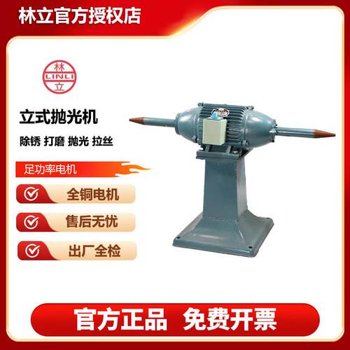 林立立式抛光机磨光机打磨机小型家用电动工业用双头夹板抛盘