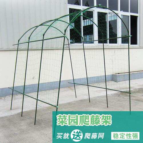 葡萄架花架园艺支架爬藤植物藤架黄瓜丝瓜百香果攀爬菜园种植架子