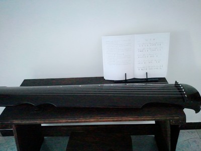 分析南雁古琴怎么样？音质差不差，用后反馈内幕