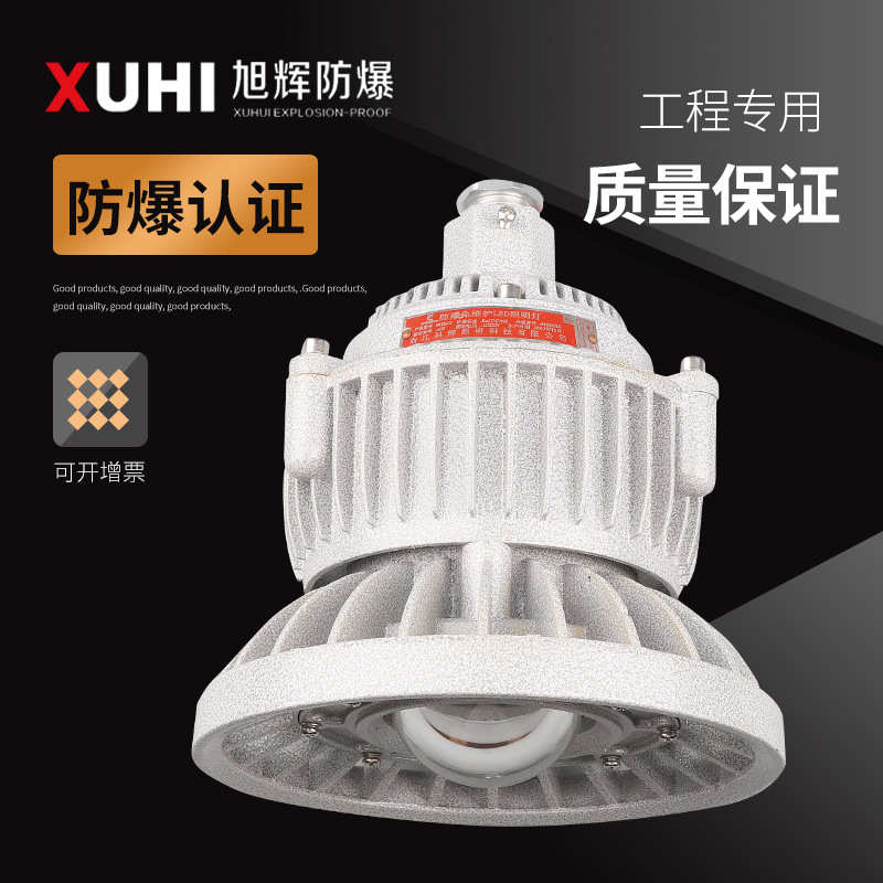 LED防爆灯XHD510免维护40W50W60W防爆投光灯 LED防爆照明灯