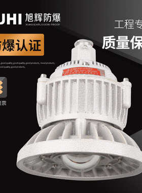 LED防爆灯XHD510免维护40W50W60W防爆投光灯 LED防爆照明灯