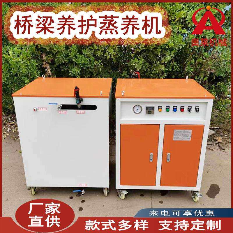 冬季桥梁蒸汽养护设备电加热工业发生器锅炉小型全自动蒸养机